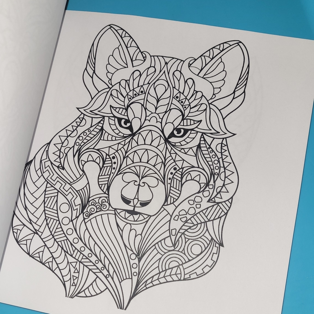 Adult Coloring Book By Breagha Rae - Picture 4 of 4